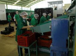 Las exportaciones totales de mercancías se elevaron 2.31 por ciento. ARCHIVO  /