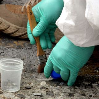 Abaten a cinco presuntos delincuentes en Veracruz