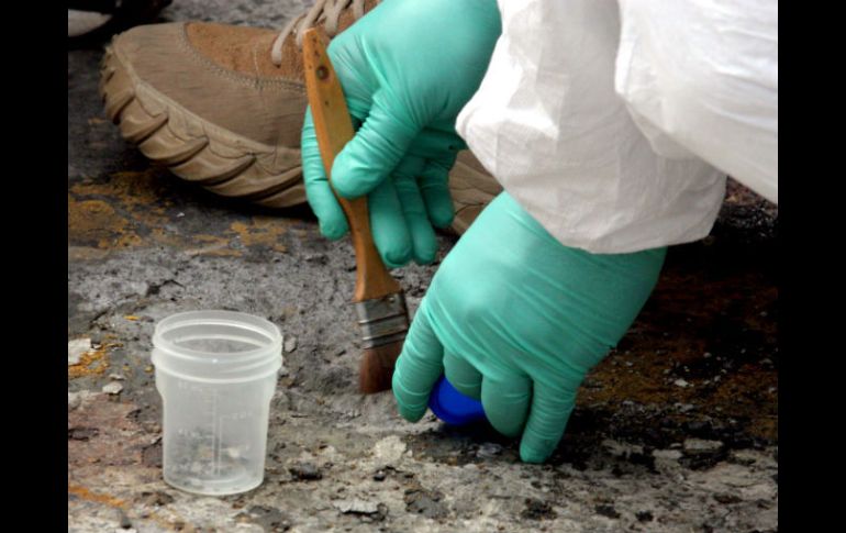 Elementos de la Semar abaten a presuntos delincuentes. ARCHIVO  /