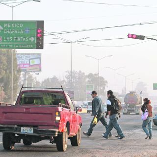 En enero habrá reforestación en la zona de Las Pintas