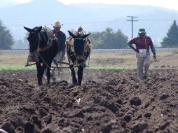 La misión de los ordenamientos es lograr la protección del medio ambiente y la preservación de los recursos naturales. ARCHIVO  /
