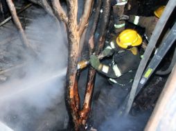 Bomberos de Nuevo León acudieron al domicilio y lograron controlar el incendio. ARCHIVO  /