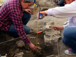 Arqueólogos trabajan en la zona del descubrimiento. AFP  /