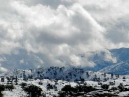 Sonora recibió el 2013 con una espectacular nevada. EL UNIVERSAL  /