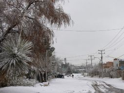 Se espera que la nieve alcance un grosor de 15 centímetros en Ciudad Juárez. EFE EFE /