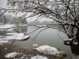Hoy declararon alerta en Chihuahua ante las nevadas. EFE EFE /