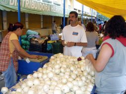 Hace tres años, la cebolla llegó a ponerse a 40 pesos el kilogramo por problemas de lluvias invernales. ARCHIVO EL INFORMADOR /