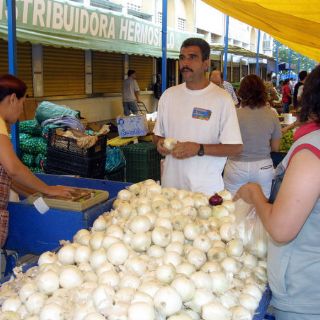 Cebolla ''pone mal ejemplo'', aumenta precio a inicio de año