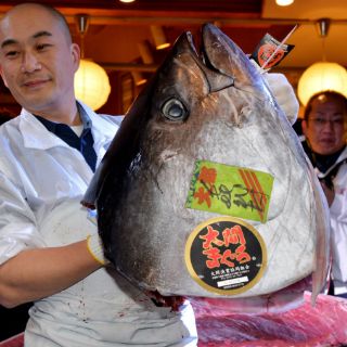 Venden un atún gigante por casi 1.8 MDD en Japón
