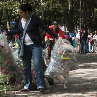 Bosques urbanos, una alternativa ante el cambio climático: AMC