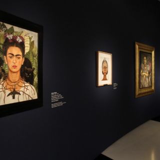 Más de 60 mil personas aprecian a Mujeres Surrealistas en el MAM