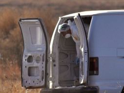 Peritos realizaron las diligencias correspondientes para determinar si las muertes se deben a una jauría de perros. ARCHIVO /