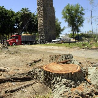 Identifican a seis grupos de taladores clandestinos