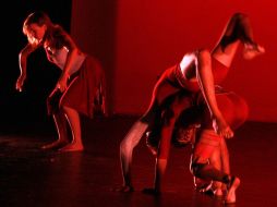 La realización de actos en vivo y la participación en festivales también fueron parte de la programación del LAA el año pasado. ARCHIVO /