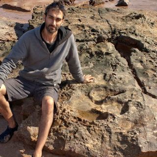 Huellas de dinosaurios en Australia podrían no ser de estampida