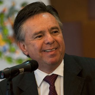 México respetará regulación de armas en EU: Medina Mora