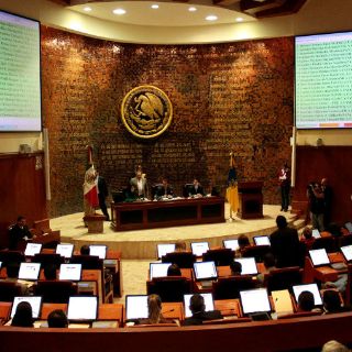 Congreso no etiquetó recursos para granjas afectadas por gripe aviar