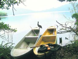 Paseo. Desde el pueblo mágico de San Cristóbal podrás vivir una aventura flotante rodeado de las maravillas de la flora y fauna.  /