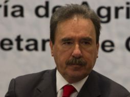 El titular de la Junta de Coordinación Política del Senado, Emilio Gamboa, se dice partidario de escuchar todas las voces involucradas. ARCHIVO /