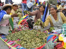 Los campesinos y productores de coca escenifican el masticado de coca. EFE /