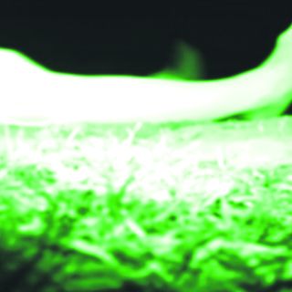 Tardes de ''crimen'' en Casa Vallarta