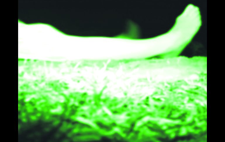 The Poughkeepsie tapes, narra la historia de cómo la policía encuentra una gran cantidad de cintas caseras conocidas como snuff.  /