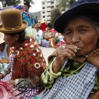 Fundéu BBVA: ''masticar'' y ''mascar'' no son sinónimos absolutos