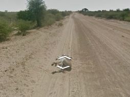 Una de las imágenes del sitio, tomada en una carretera de Botsuana,  muestra, en efecto, a un burro extendido. ESPECIAL /