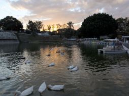 Las obras en el Parque Alcalde deberían estar listas en su primera etapa el 5 de enero de 2013. ARCHIVO /