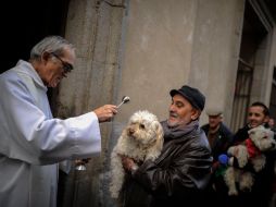 Los perros son los más numerosos en visitar a su patrono, San Antón. AFP /
