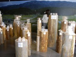Un proyecto de gran ''humanidad'' premiado en Venecia. EFE /