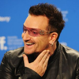 Bautizan a especie de arácnido inspirados en U2