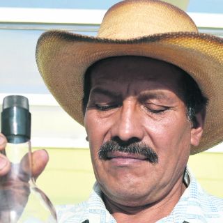 Para todo mal, mezcal…