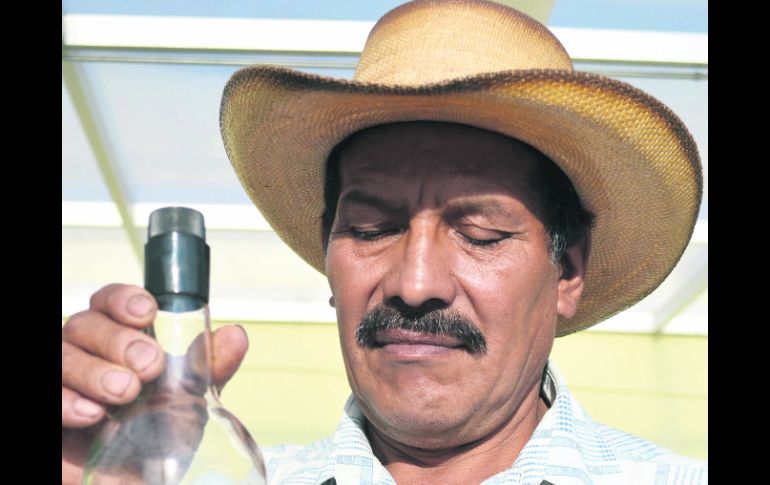 Sentidos. La vista, el olfato, el tacto y, por supuesto, el gusto, son estimulados cuando se saborean las mieles del agave: el mezcal.  /