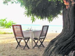 Contemplación. Mirar la vida  despacio y desde muy, muy lejos, para poder apreciarla en todo su valor.  /