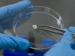 El laboratorio Dentcell se encuentra en la ciudad de México. ID  /