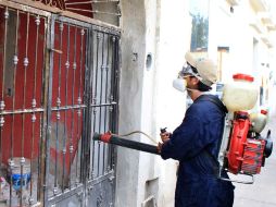 Como medidas preventivas, la Secretaría de Salud Jalisco estará trabajando con descacharrización y limpieza en diferentes colonias. ARCHIVO /