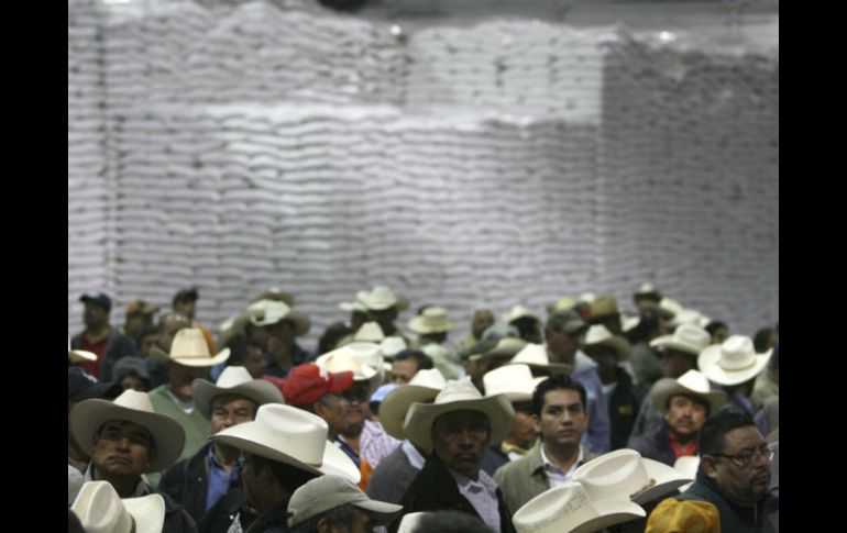 Desde las 06:00 horas, en el ingenio Emiliano Zapata se impide la salida de azúcar que no sea para exportación EFE /