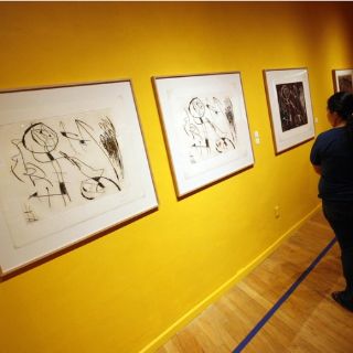 Conceden Premio Joan Miró a Roni Horn