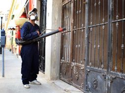 En 2012, en Jalisco se registraron 560 casos de dengue, 60 de tipo hermorrágico. ARCHIVO /