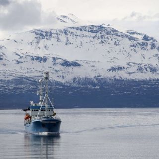 El deshielo del Ártico elevará nivel del mar