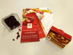 Se pretende penetrar en el mercado de las berries, en segmentos muy exigentes, como los casos de Japón y EU. ARCHIVO /