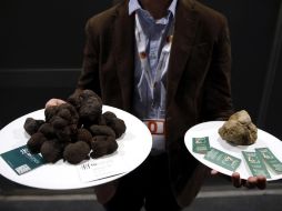 Trufas negra y blanca subastadas en el congreso gastronómico Madrid Fusión el día de hoy. EFE /