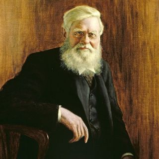 Londres recupera a Wallace, el otro descubridor de la selección natural