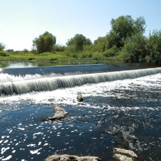 El Ahogado da un respiro al panorama fétido en el Río Santiago