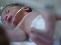 La atención abarca el cuidado del niño y la vigilancia de su crecimiento, desarrollo integral y la atención prenatal. ARCHIVO /