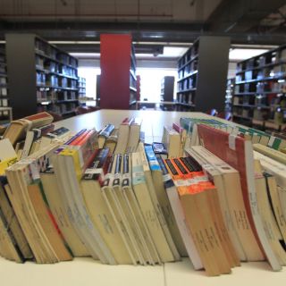 Guillermo Díaz gana premio Cátedra Jorge Alonso por tesis doctoral