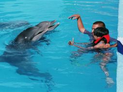 Imagen de una sesión de ''delfinoterapia'', una de las terapias alternativas contra el autismo. ARCHIVO /