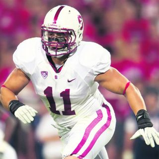 Skov, de Carneros a Stanford