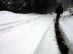 La nieve acumuló hasta cinco pulgadas. ARCHIVO /